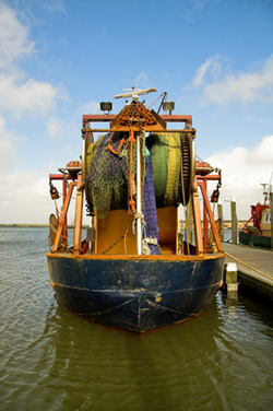 Pêche, aquaculture, méditerranée, secteur de la pêche, bateaux de pêche, cargot, stocks de poissons, salon agroalimentaire, djazagro, djazagro 2008, foire alger, salon maghrebin, machines agroalimentaires, équipements agroalimentaires, agro-industriels, équipements agro-industriels, agroalimentaire, agroalimentaire méditerranéen, méditerranée, agriculture, agriculture méditerranéenne, agriculteurs, agriculteurs méditerranéens, alimentation, pêche, pêche en méditerranée, maghreb, agriculture au maghreb, agriculture marocaine, agriculture tunisienne, agriculture algérienne, aquaculture, aquaculture méditerranéenne, produits laitiers, lait, laiterie, fromages, produits laitiers, céréales, blé, champs, bétails, fruits, légumes, fruits et légumes